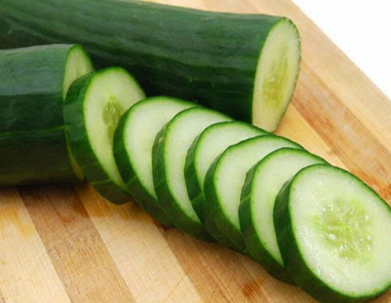 गर्मियों में बेहद फायदेमंद हैं खीरा, लेकिन खाने के बाद इस बात का रखे विशेष ध्यान