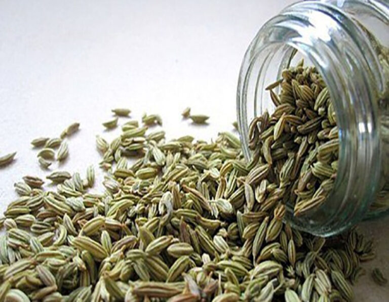 गर्मियों में होने वाली समस्याओं को छूमंतर करती हैं ये शरबत, आपने कभी नहीं चका होगा इसका स्वाद